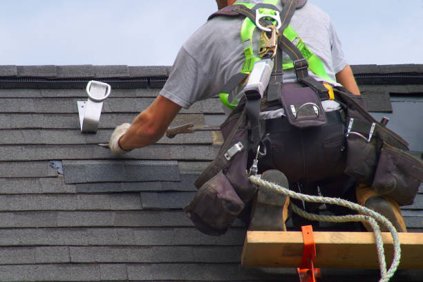 Best Roof Gutter Cleaning  in Round Lake Park, IL