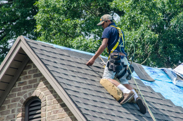 Best Gutter Installation and Roofing  in Round Lake Park, IL